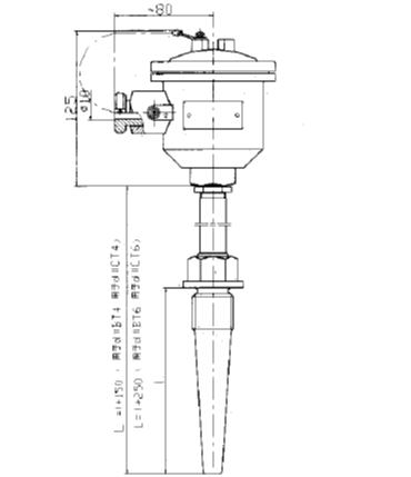 WRN-640固定螺紋錐形保護(hù)管防爆熱電偶安裝圖片