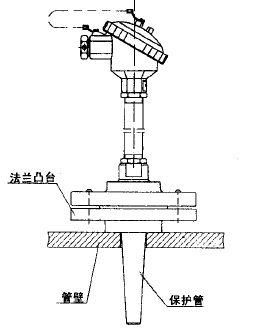 WZP-731法蘭套管式熱電阻安裝圖片