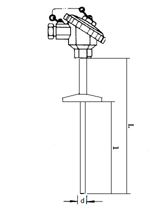 WZP-220T衛(wèi)生型卡盤裝配式熱電阻安裝圖片